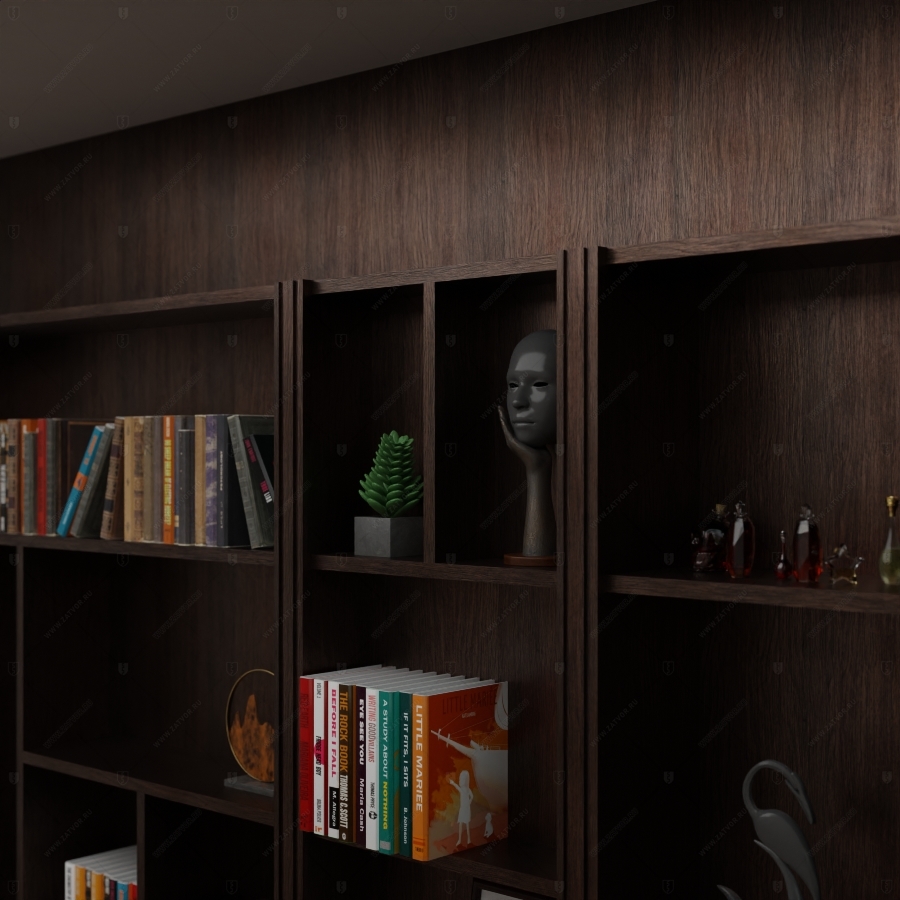 Комплект из двух дверей: пожаростойкая внутренняя дверь "Дамис" БАСТИОН-4 и выкатной шкаф с полками встроенный в шкаф-стену_4