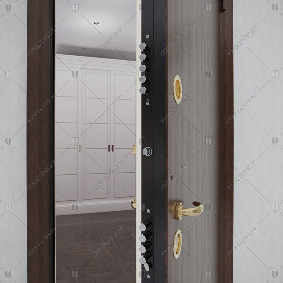 Взломостойкая входная дверь БАСТИОН-1 "Дисис"_8