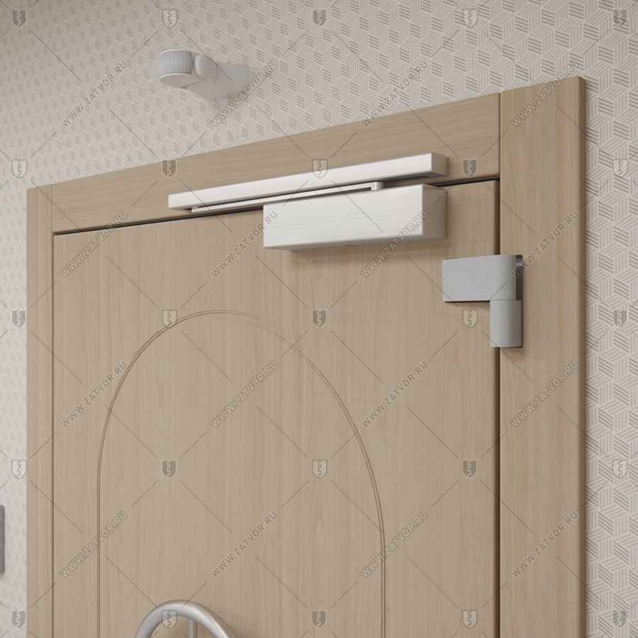 Скрытая (потайная) внутренняя бронированная пожаростойкая дверь "Палеса" БАСТИОН-3 BR4 EIS60 с наружной панелью из зеркала_10