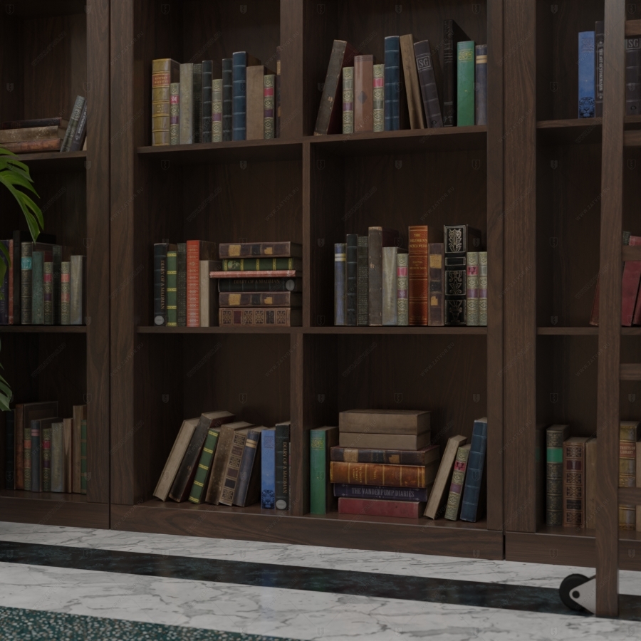 Скрытая дверь "Аргос" СуперЛюкс с панелью в виде книжного шкафа_9