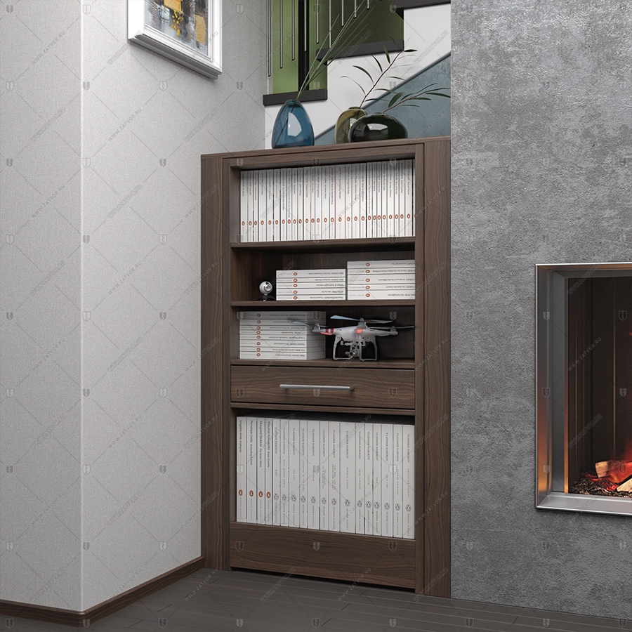 Комплект из двух дверей: защитная дверь "Ройк" БАСТИОН-3 и выкатной книжный шкаф с полками_4