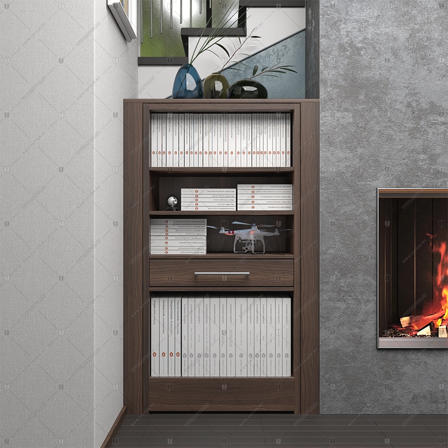 Комплект из двух дверей: защитная дверь "Ройк" БАСТИОН-3 и выкатной книжный шкаф с полками_2