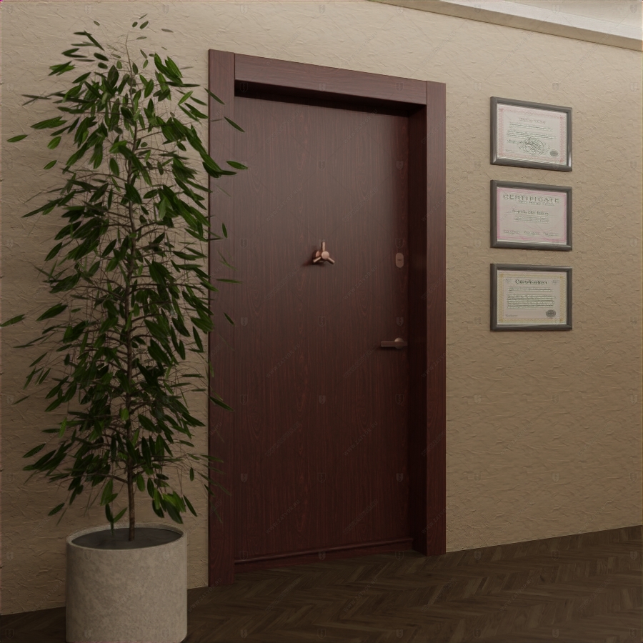 Входная стальная дверь "Феба" БАСТИОН-1_5