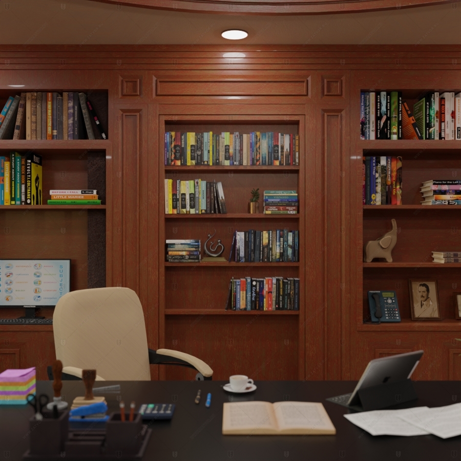 Скрытая дверь "Зеве" СуперЛюкс с панелью в виде книжного шкафа_2