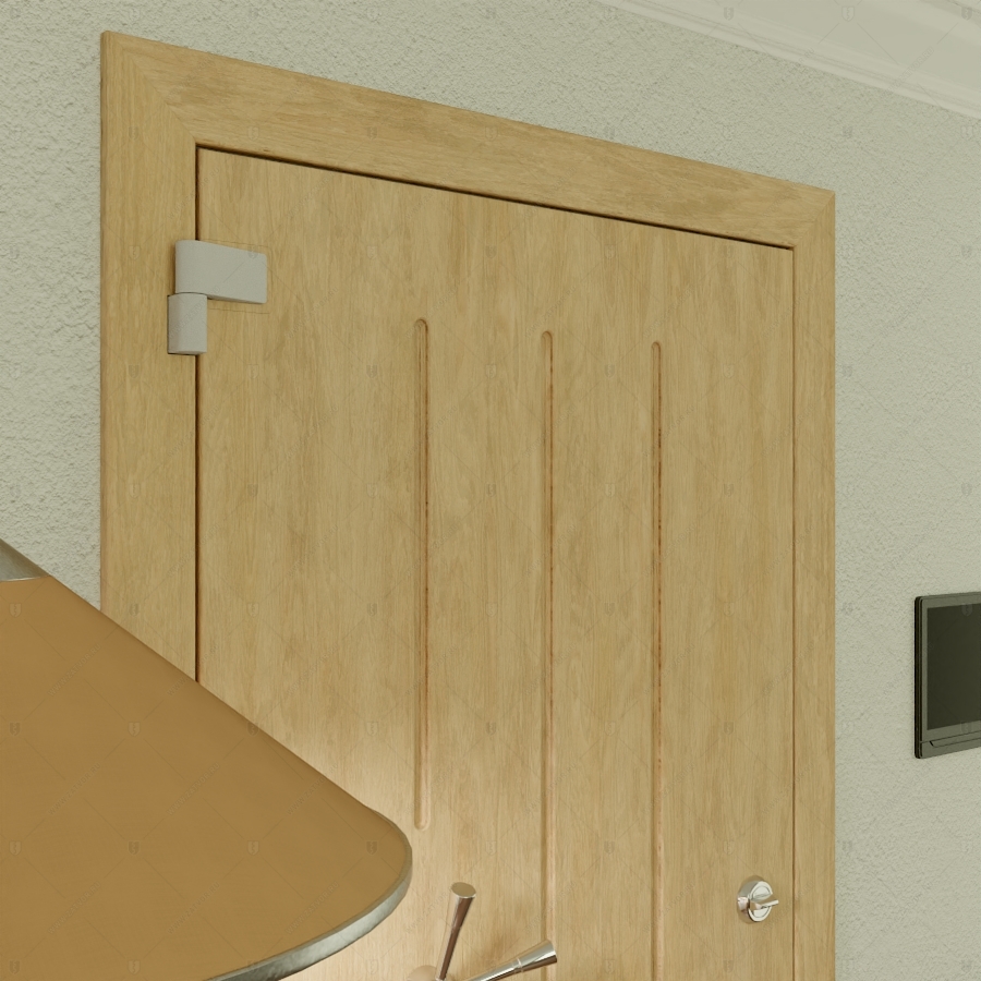 Комплект из двух дверей: Внутренняя дверь "Тифей" БАСТИОН-3 и скрытая дверь "Фита" СуперЛюкс с наружной панелью из зеркала_11