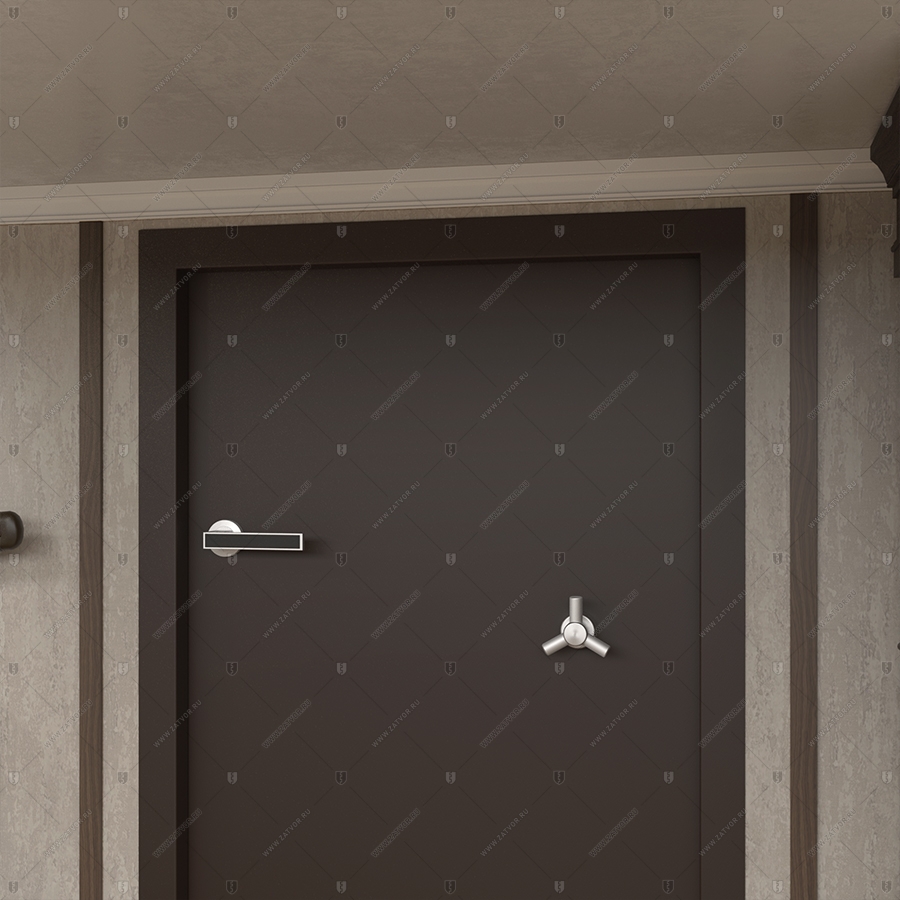 Комплект из двух дверей: защитная дверь "Ройк" БАСТИОН-3 и выкатной книжный шкаф с полками_10