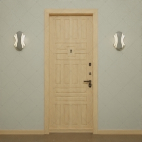 Взломостойкая входная дверь "Адрастея" БАСТИОН-2_1