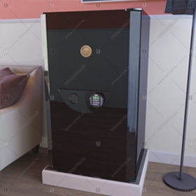 Сейф Burg-Wachter Zeppelin 124 E Black_0