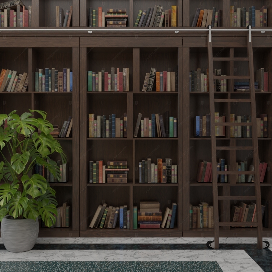 Скрытая дверь "Аргос" СуперЛюкс с панелью в виде книжного шкафа_0