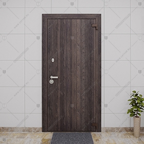 Взломостойкая входная дверь "Анатолия" БАСТИОН-1_0